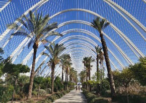 Visiter l'Umbracle lors de votre événement à Valence